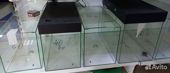 Аквариумы в ассортименте в акватропике