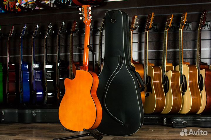 Акустическая гитара Homage + Аксессуары