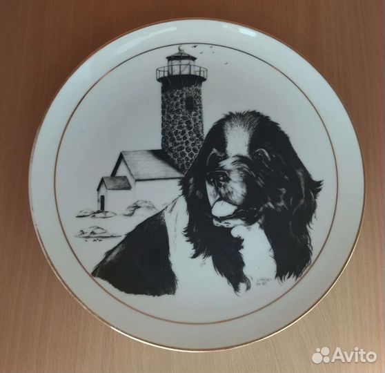 Тарелка фарфор, США Ньюфаундленд Ландсир Собака