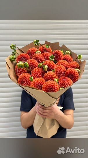 Цветы георгины