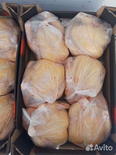 Мясо курицы бройлера, гуся, муларда, индейки