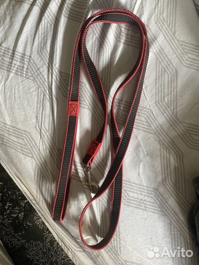 Поводок для собак