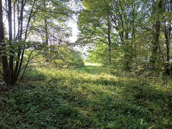 Участок 12 сот. (ИЖС)