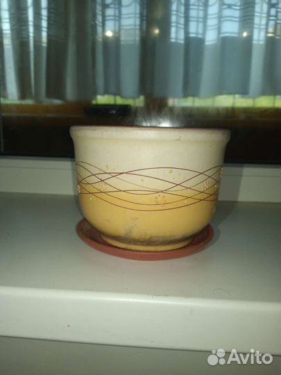 Цветочные горшки бу