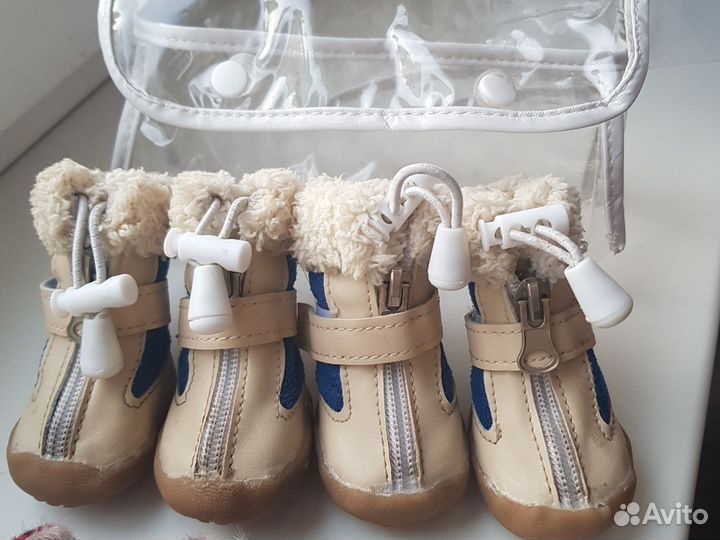 Обувь для маленьких собак