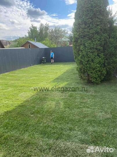 Рулонный газон, укладка, продажа