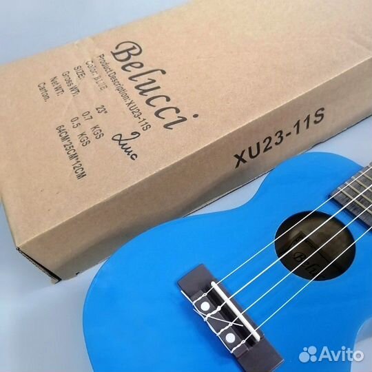 Укулеле новая концерт