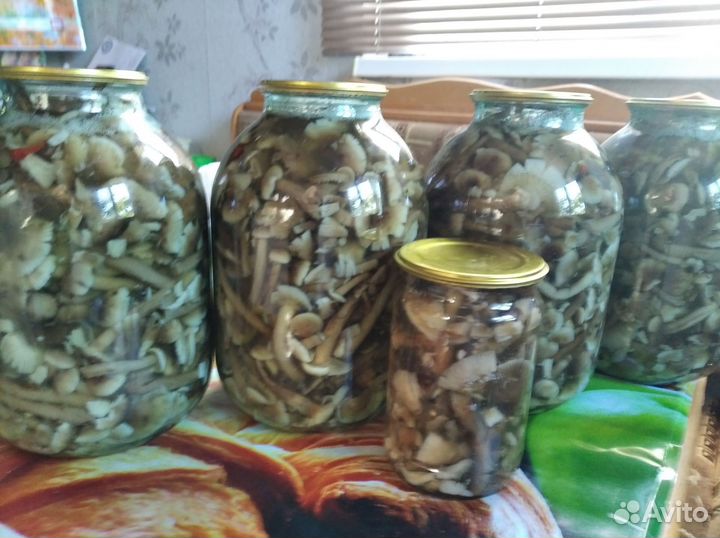 Грибы опята маринованные