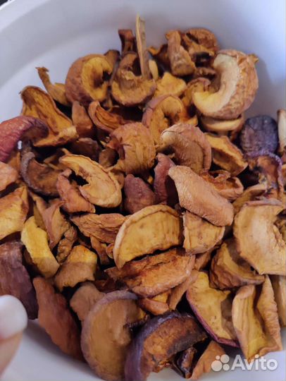 Корм для шиншилл