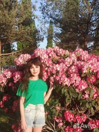 Английский язык, Немецкий язык