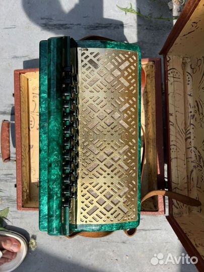 Гармонь Маричка