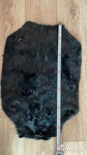 Шкуры бобров