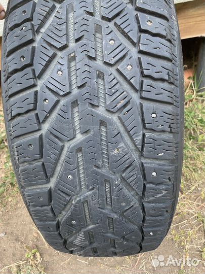 Tigar SUV Ice 215/60 R17 100T