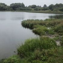 Водоем, озеро для рыборазведения