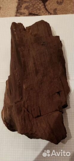 Старинное Окаменелое дерево