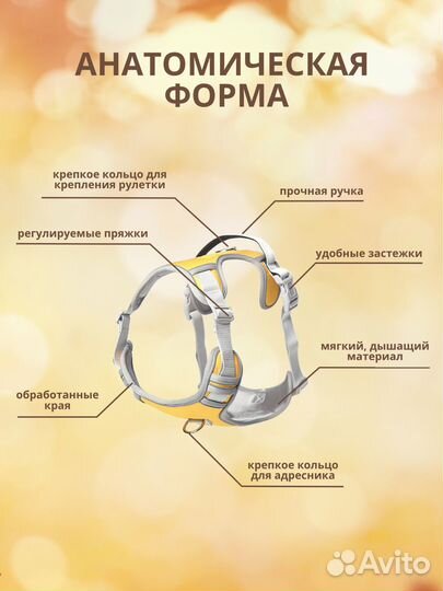 Шлейка для собак анатомическая