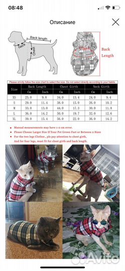 Одежда для кота