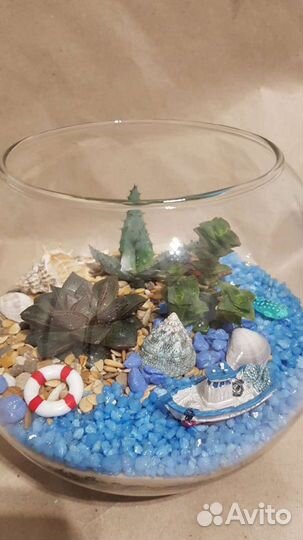 Флорариумы в морском стиле