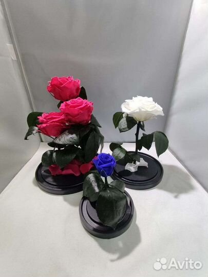 Роза в колбе оптом и в розницу