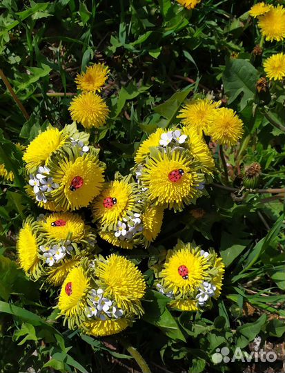 Резиночки для волос