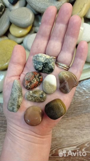 Галька морская Ракушки