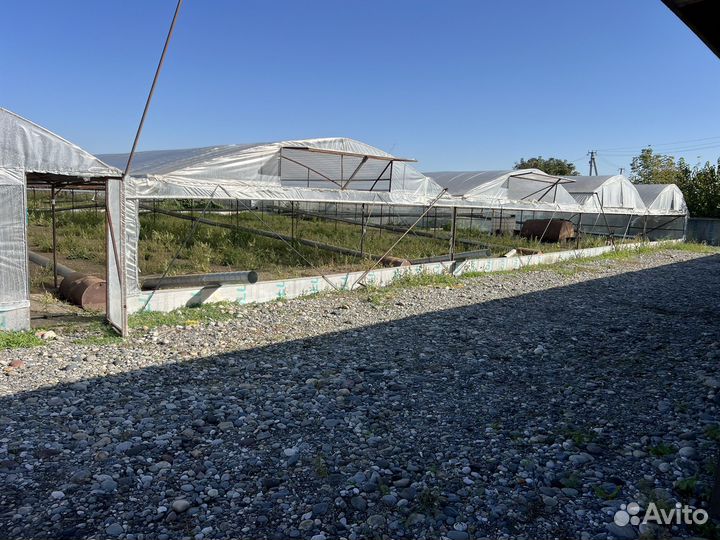 Тепличный комплекс