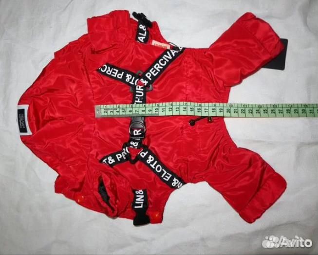 Комбинезоны и сумка-переноска для маленькой собаки