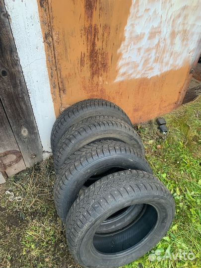 Sigma Arctic Claw Winter TXI 185/65 R15 92T