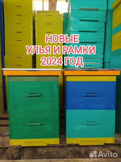 Улья Рамки на 2024