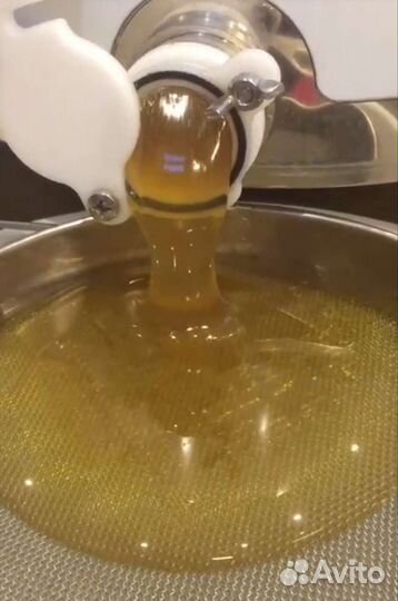 Мед донниковый 2023 (только откачали) с доставкой