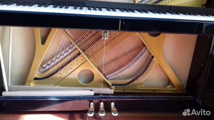 Настройка и ремонт фортепиано (пианино, рояль)