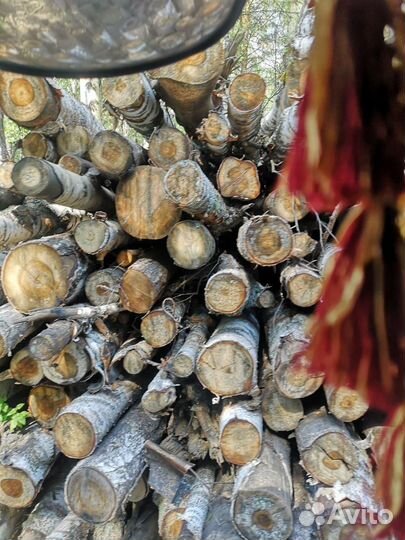 Лес кругляк пиловочник