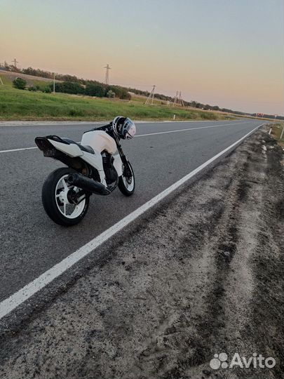 Рейсер нитро