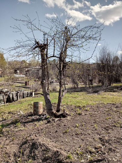 Дача 10 м² на участке 6 сот.