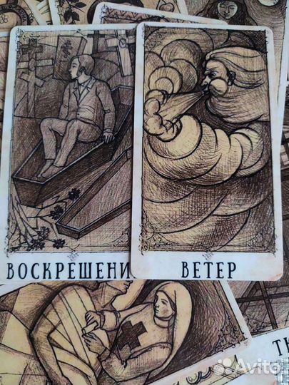 Оракул Ведьмы