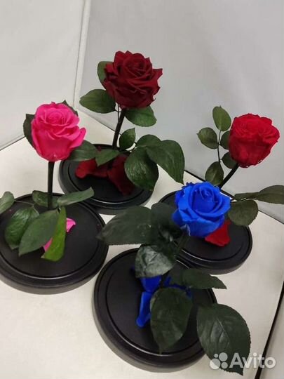 Роза в колбе оптом и в розницу