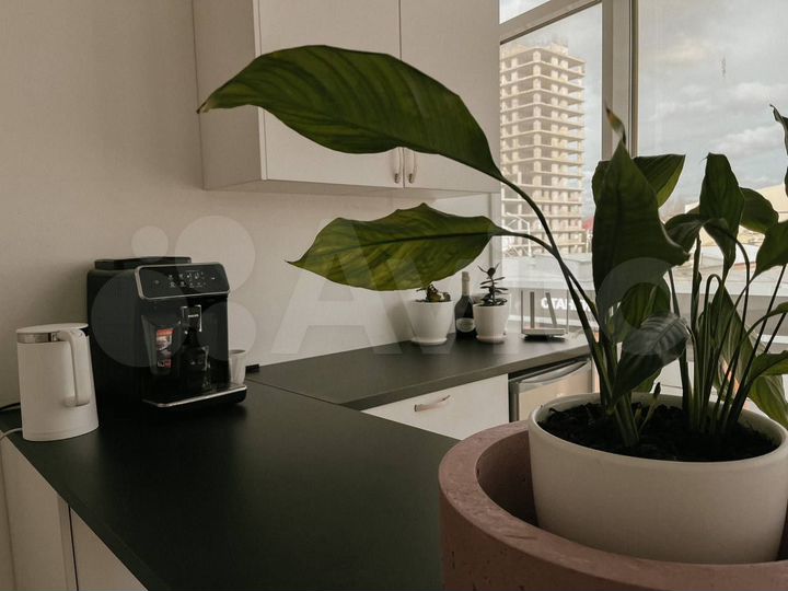 Аренда офиса на месяц