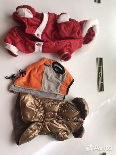 Одежда для маленьких собак