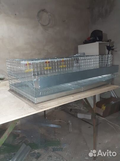 Клетки для перепелов