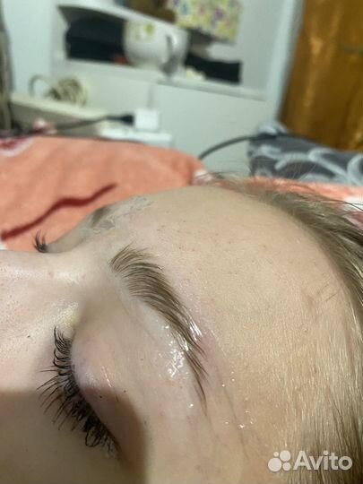 Мастер бровист