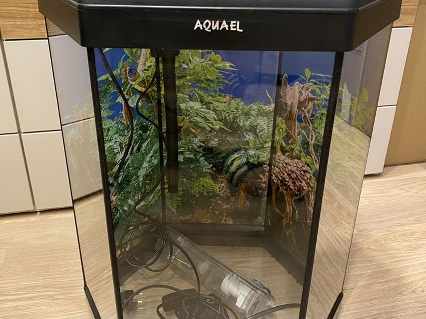 Аквариум Aquael Hexa Set 2 60л + Tetra Ex 400 Plus