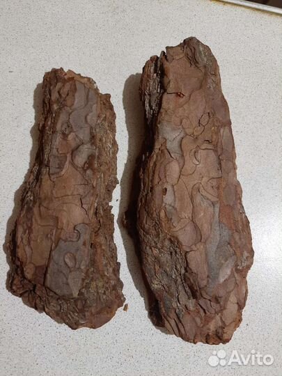 Блок для орхидей.Кора дуба и сосны