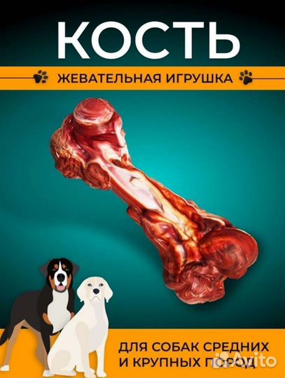 Новый грызунок для собак