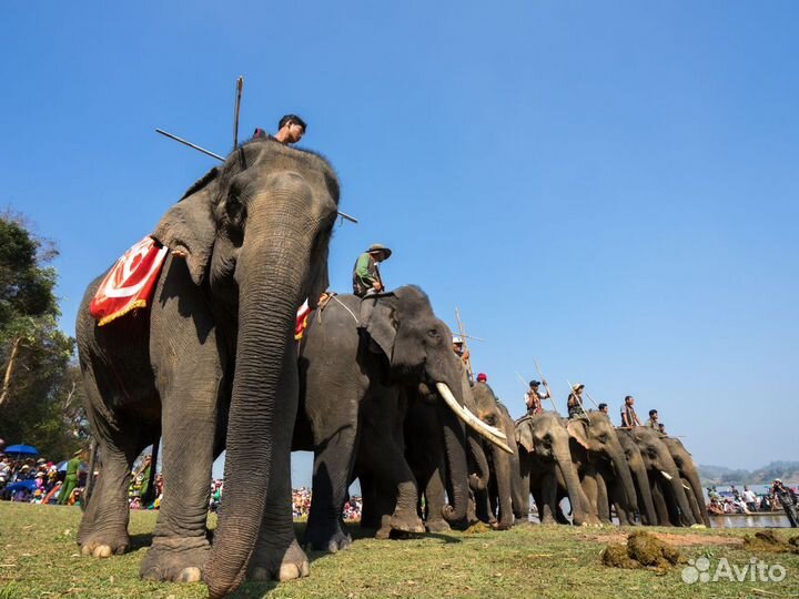 Отдых в Vietnam на 7 нч за 2-х человек