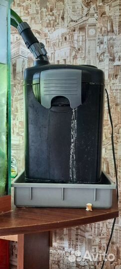 Аквариумные рыбки