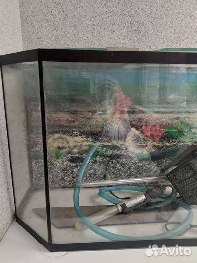Аквариум 50 литров