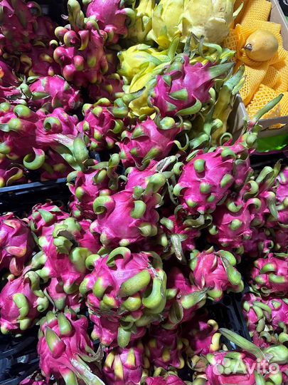 Питахайя красная Драгон фрукт