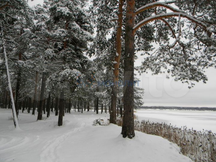 Дом 125 м² на участке 15 сот.