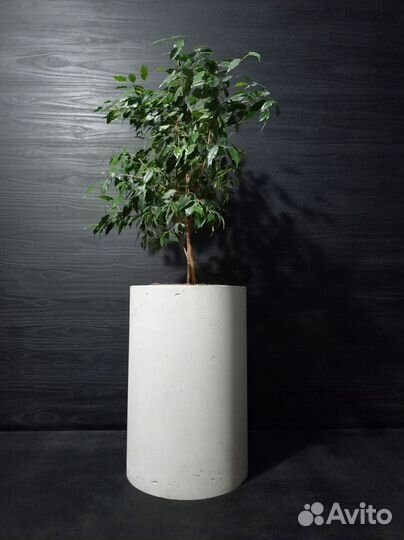 Кашпо, Вазоны, Горшки под заказ из бетона