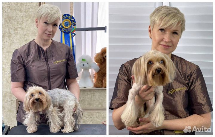 Стрижка собак/груминг